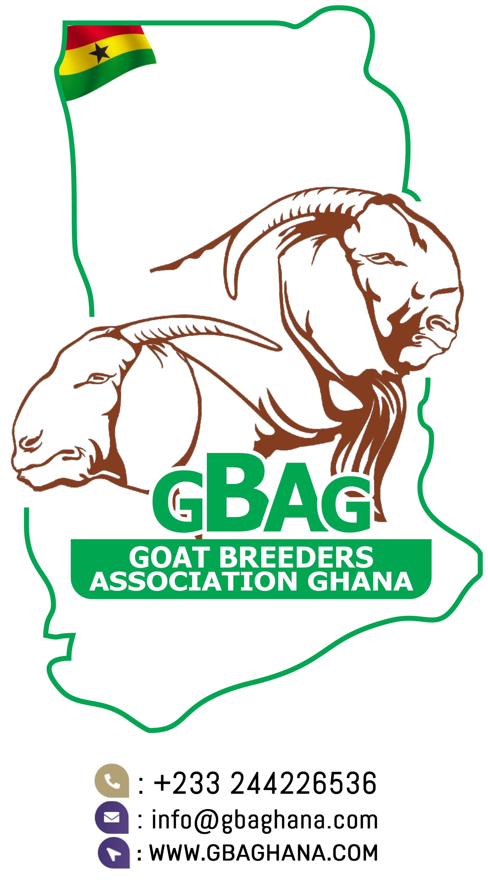 GBAG-value-